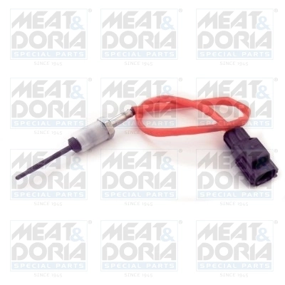 Sensor, exhaust gas temperature
